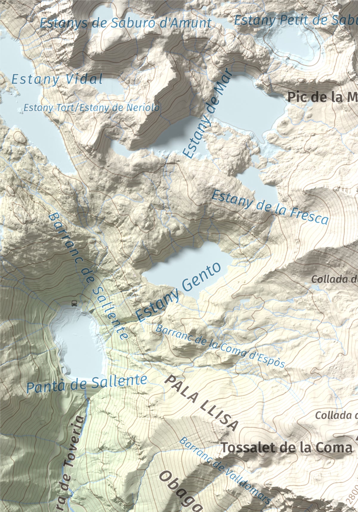 Mapa de relieve de Montsent de Pallars, 2883 m, Pallars Jussà · Pallars Sobirà, lámina 100 Cims de Trobart. Detalle de la zona superior izquierda. 21 × 30 cm.