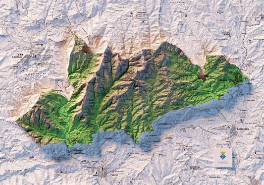 NAVÀS. Mapa topográfico.
