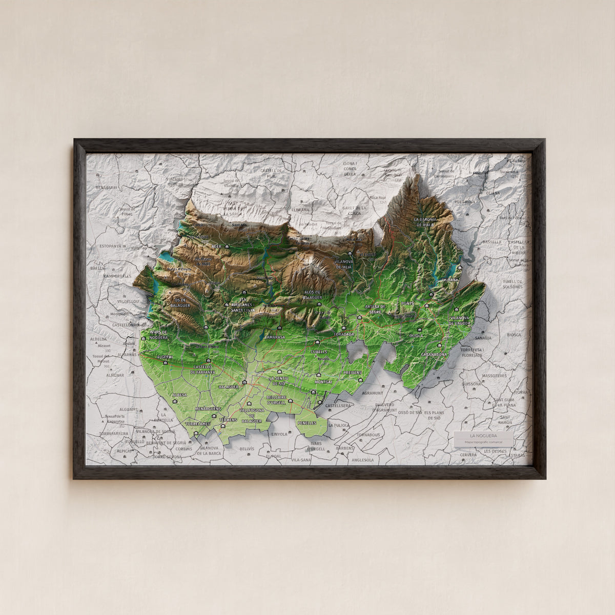 Mapa de relleu de la Noguera, amb el territori en color i l’entorn en blanc. Presentació amb marc. 21 × 30 cm. Estil Clàssic.