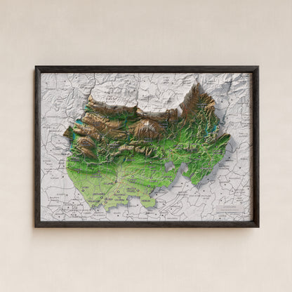 Mapa de relleu de la Noguera, amb el territori en color i l’entorn en blanc. Presentació amb marc. 21 × 30 cm. Estil Clàssic.