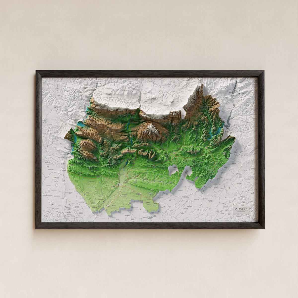 Mapa de relleu de la Noguera, amb el territori en color i l’entorn en blanc. Presentació amb marc. 61 × 91 cm. Estil Clàssic.