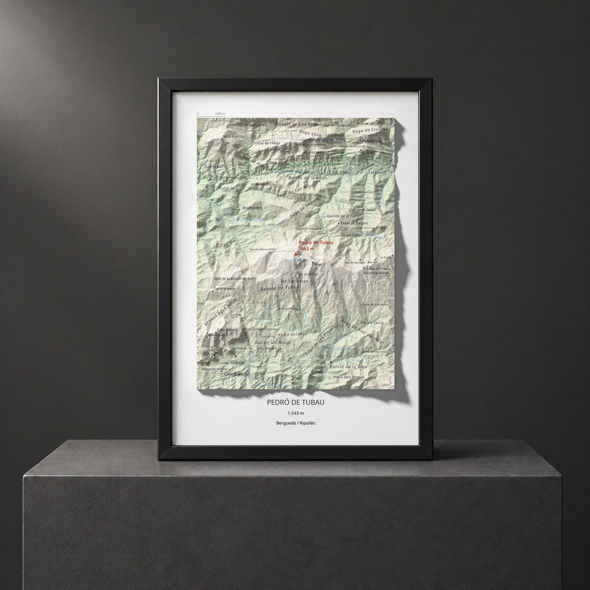 PEDRÓ DE TUBAU - 232/522 - Colección artística 100 cims