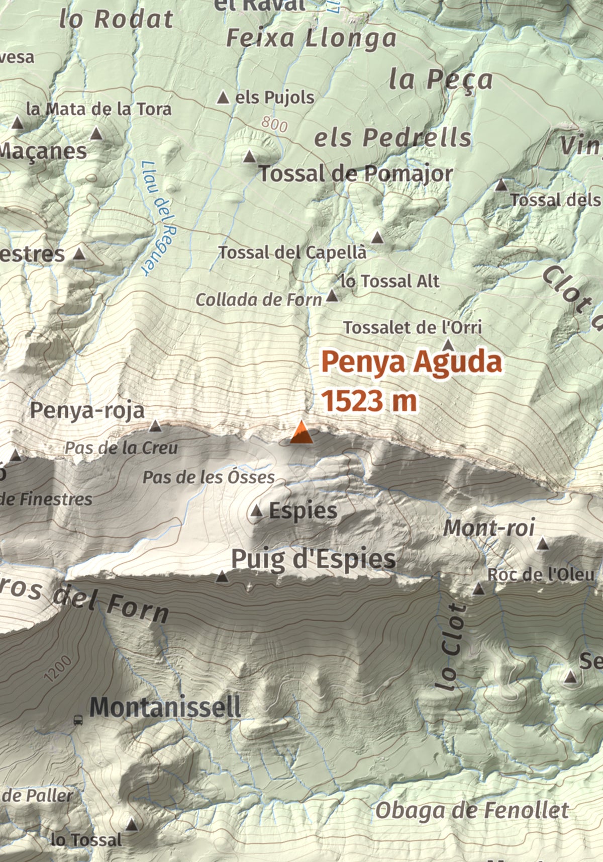 Mapa de relieve de Penya Aguda, 1523 m, Alt Urgell, lámina 100 Cims de Trobart. Detalle de la zona central. 21 × 30 cm.