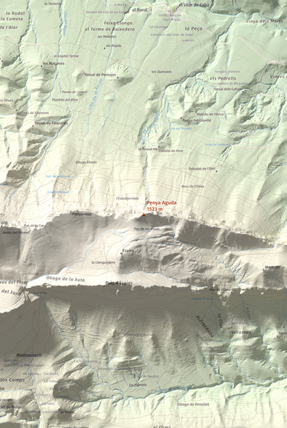 Mapa de relieve de Penya Aguda, 1523 m, Alt Urgell, lámina 100 Cims de Trobart. Detalle de la zona central. 61 × 91 cm.