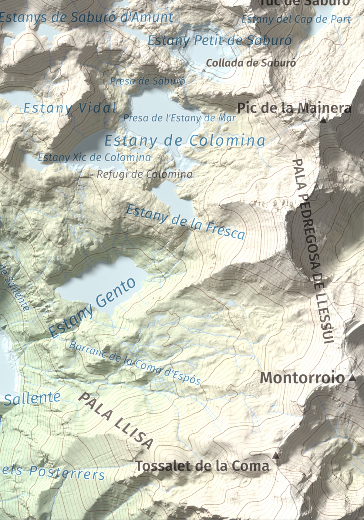 Mapa de relieve de Pic Tort, 2886 m, Pallars Jussà, lámina 100 Cims de Trobart. Detalle de la zona inferior derecha. 21 × 30 cm.