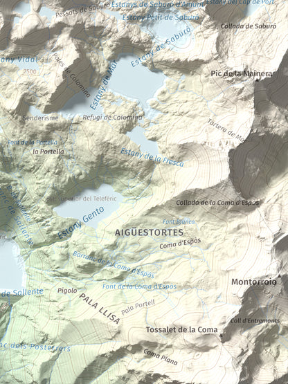 Mapa de relieve de Pic Tort, 2886 m, Pallars Jussà, lámina 100 Cims de Trobart. Detalle de la zona inferior derecha. 30 × 40 cm.