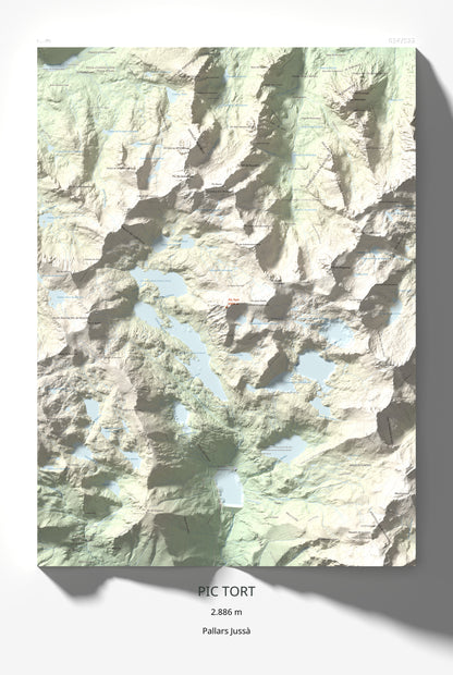 Mapa de relieve de Pic Tort, 2886 m, Pallars Jussà, lámina 100 Cims de Trobart 61 × 91 cm.