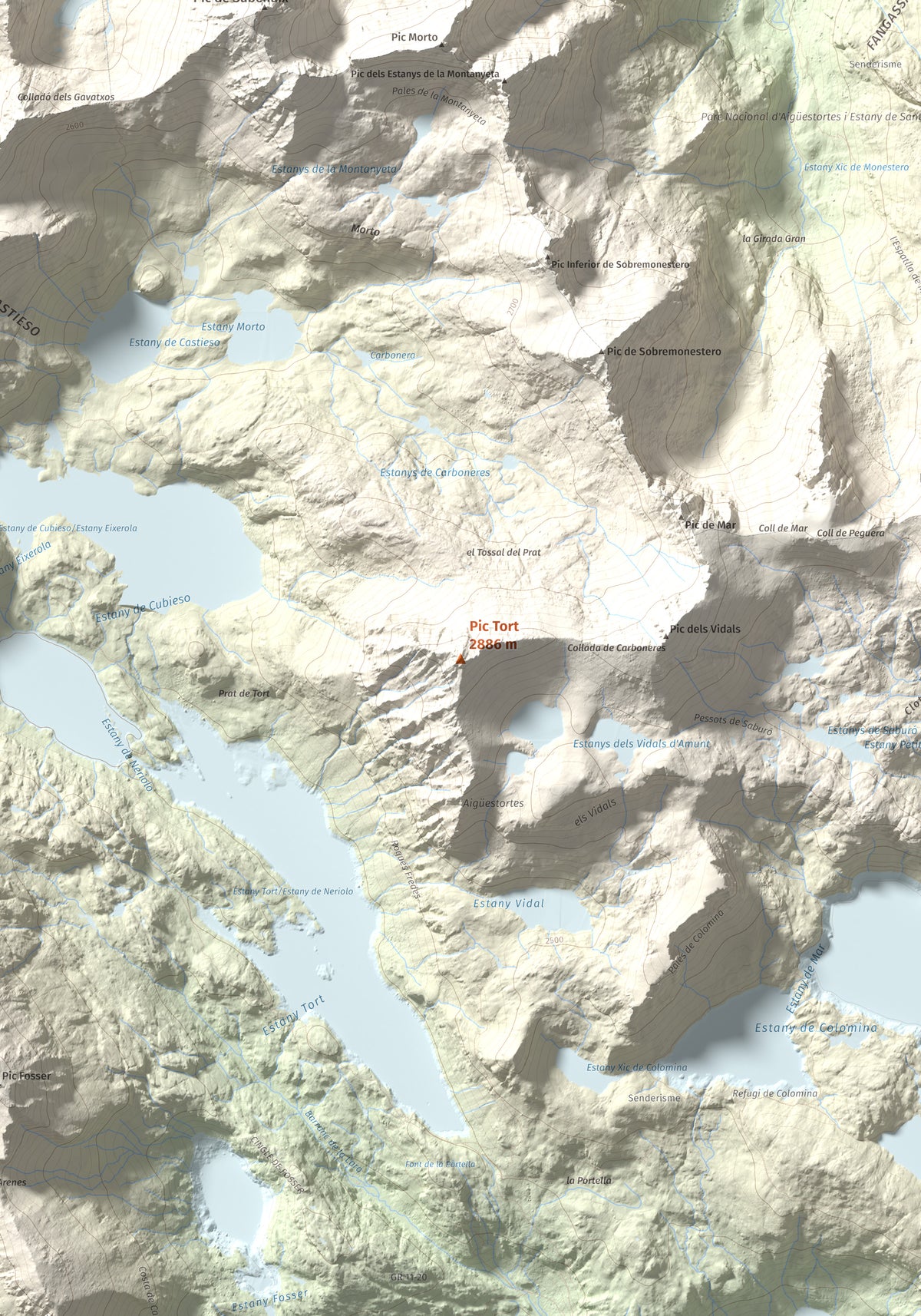 Mapa de relieve de Pic Tort, 2886 m, Pallars Jussà, lámina 100 Cims de Trobart. Detalle de la zona central. 70 × 100 cm.