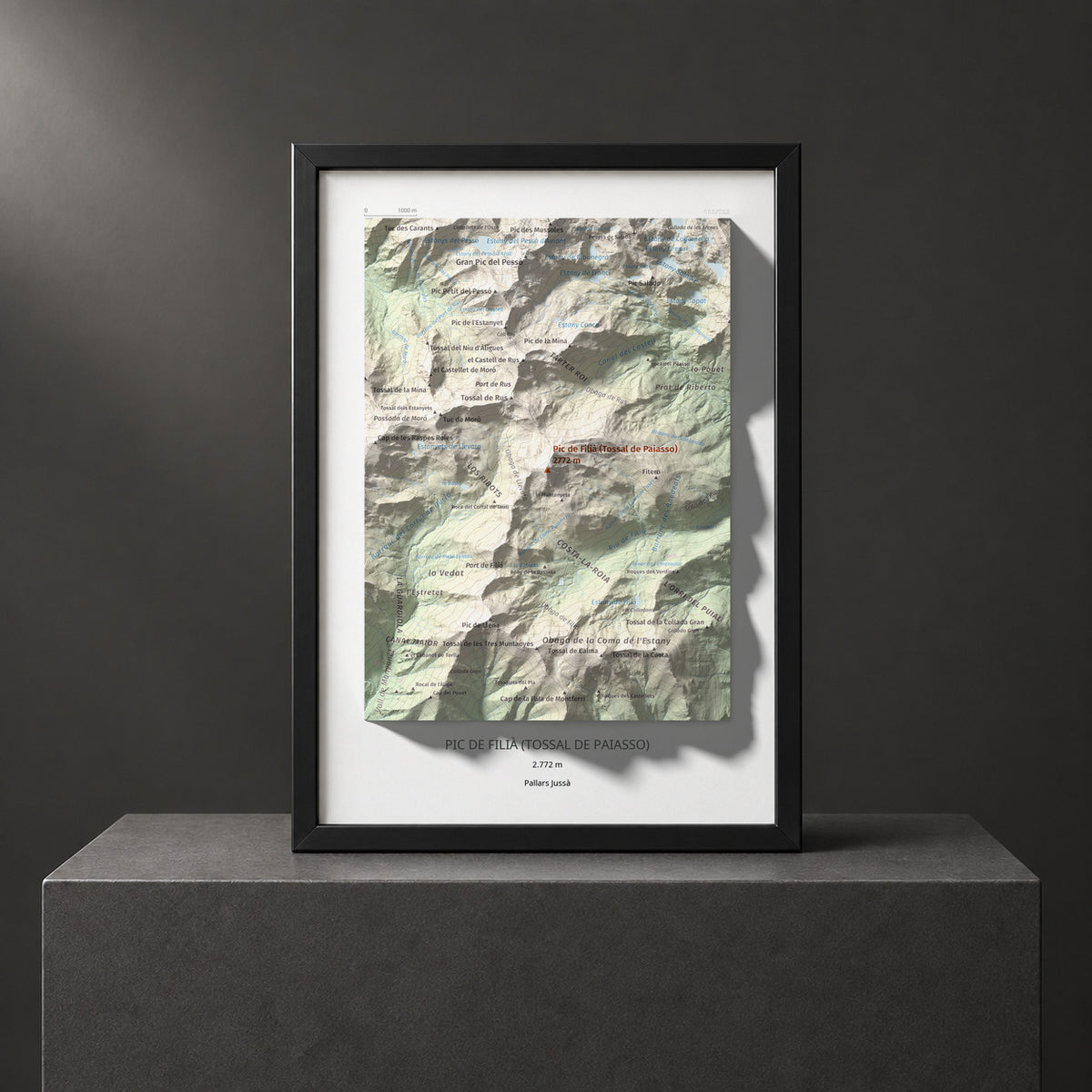 PIC DE FILIÀ (TOSSAL DE PAIASSO) - 080/522 - Col·lecció artística 100 cims
