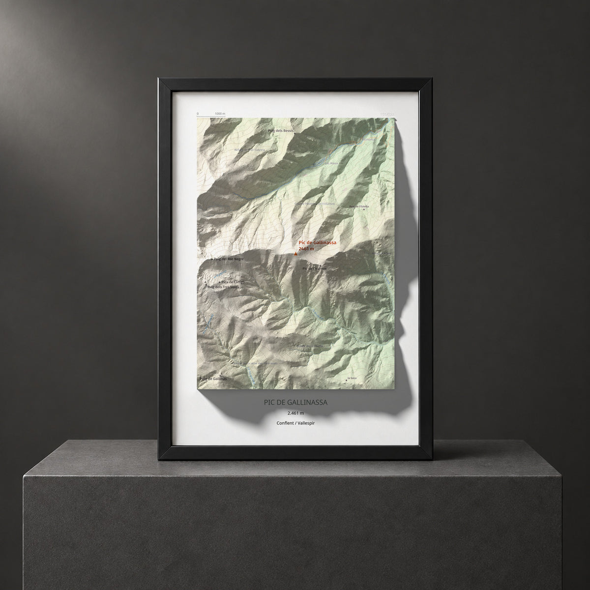 PIC DE GALLINASSA - 158/522 - Colección artística 100 cims