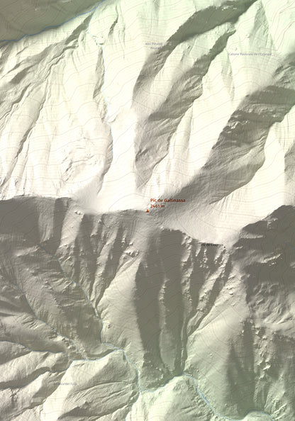 Mapa de relieve de Pic de Gallinassa, 2461 m, Conflent · Vallespir, lámina 100 Cims de Trobart. Detalle de la zona central. 70 × 100 cm.