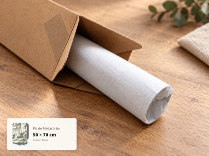 Pic de Medacorba · làmina enrotllada i embalatge 50 × 70 cm.