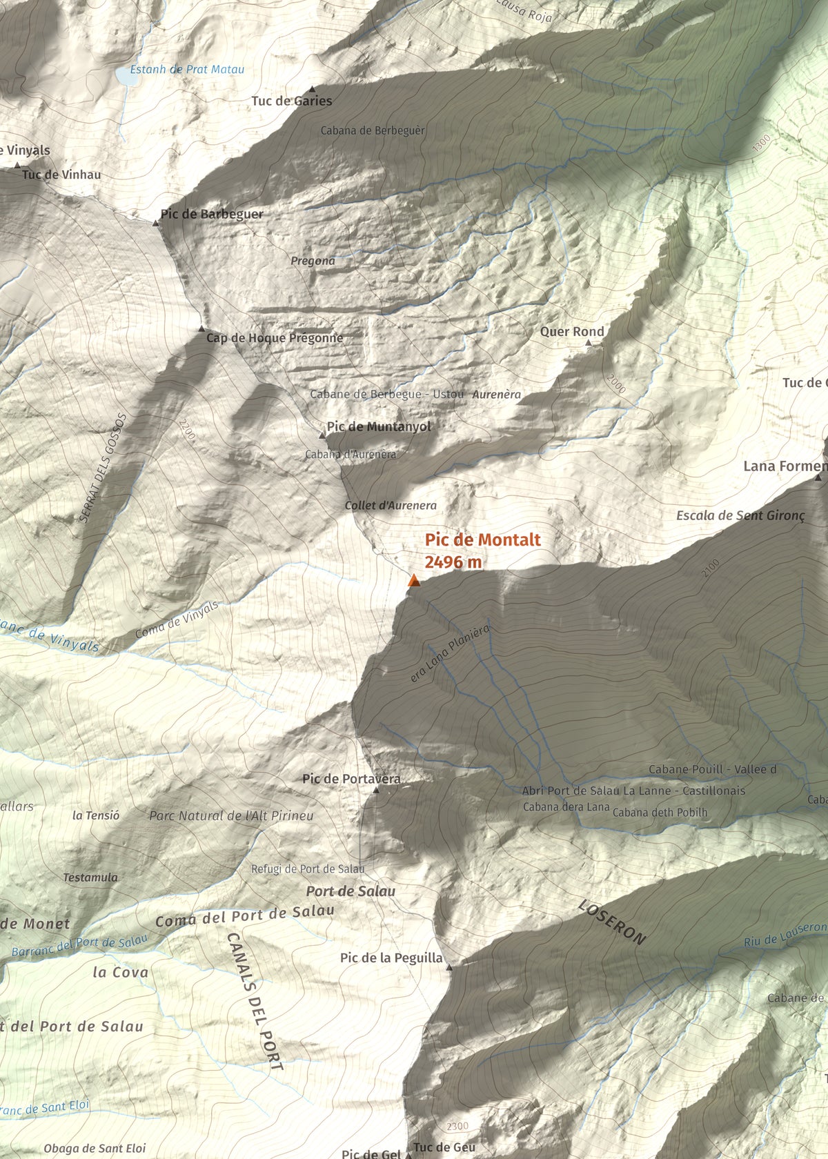 Mapa de relieve de Pic de Montalt, 2496 m, Pallars Sobirà, lámina 100 Cims de Trobart. Detalle de la zona central. 50 × 70 cm.