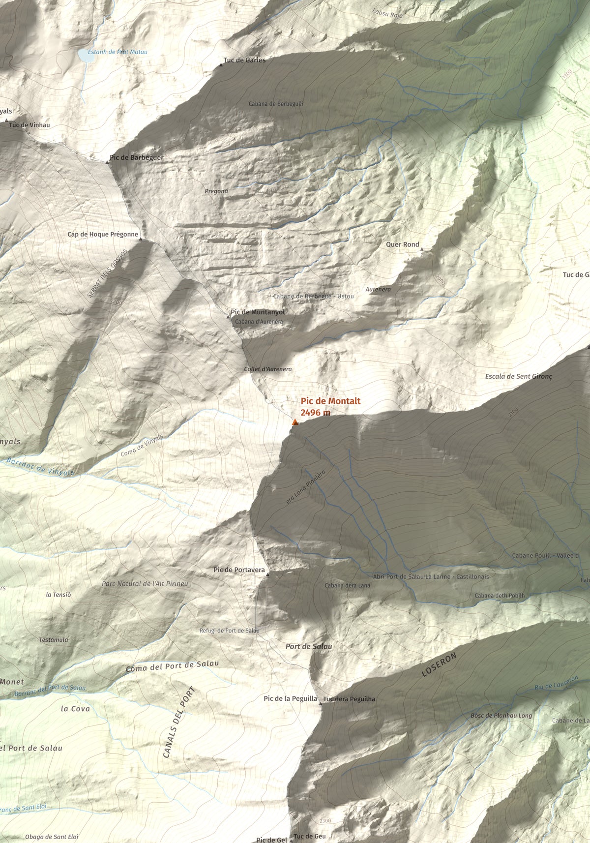 Mapa de relieve de Pic de Montalt, 2496 m, Pallars Sobirà, lámina 100 Cims de Trobart. Detalle de la zona central. 70 × 100 cm.