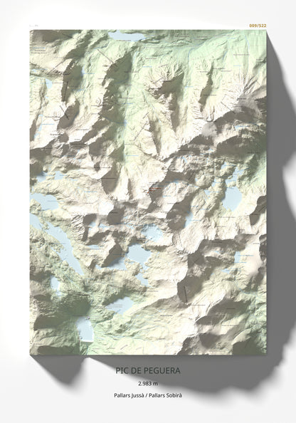Mapa de relieve de Pic de Peguera, 2983 m, Pallars Jussà · Pallars Sobirà, lámina 100 Cims de Trobart 70 × 100 cm.