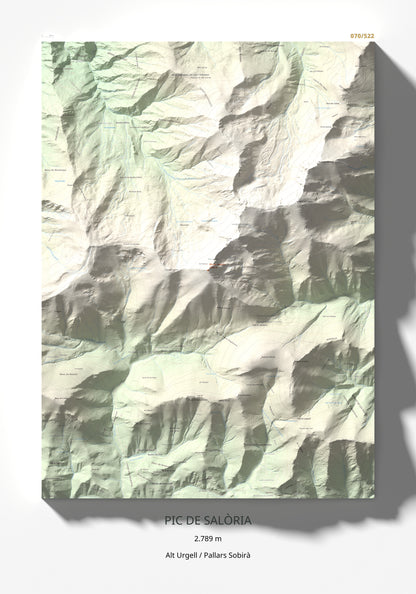 Mapa de relieve de Pic de Salòria, 2789 m, Alt Urgell · Pallars Sobirà, lámina 100 Cims de Trobart 70 × 100 cm.
