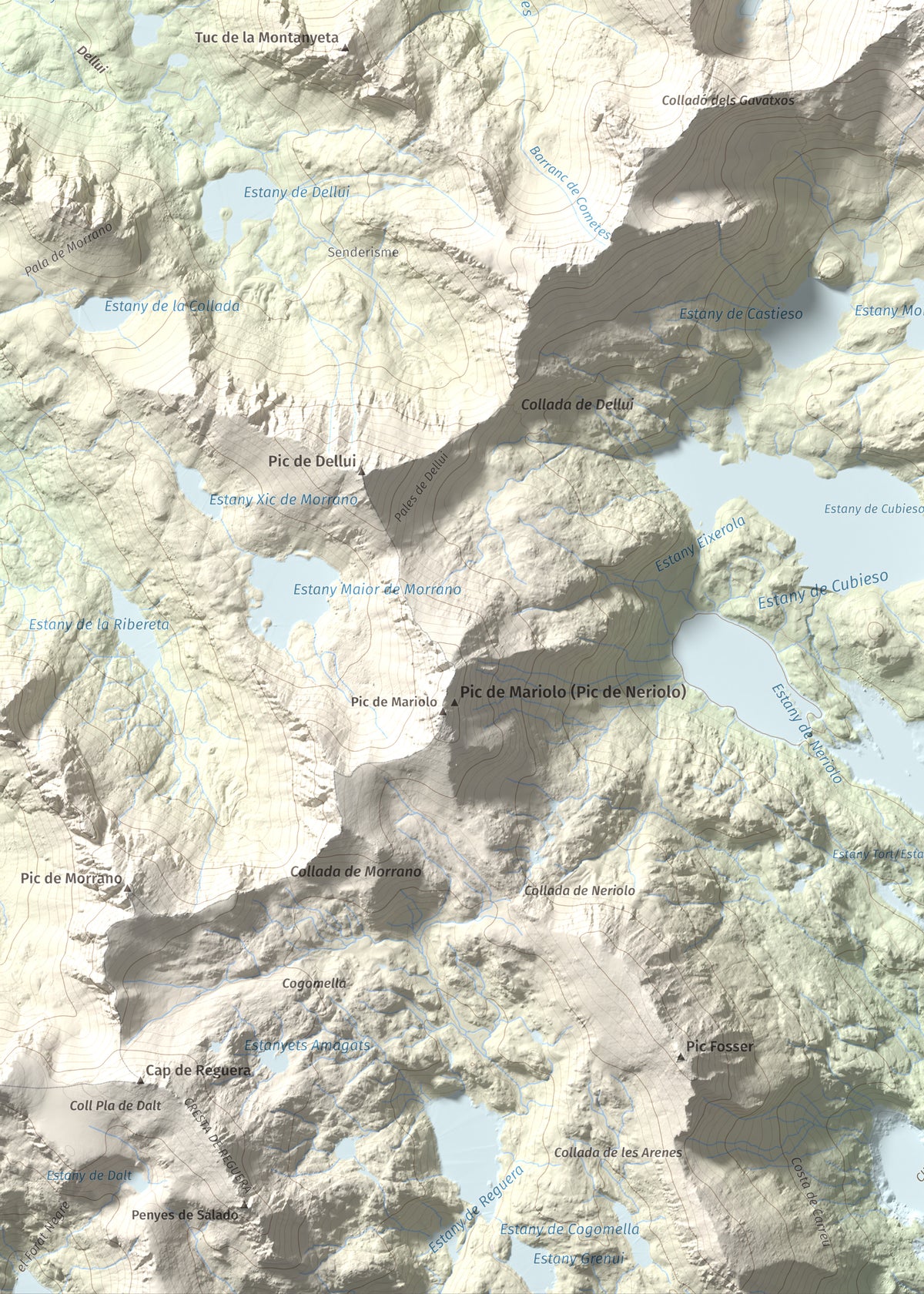 Mapa de relieve de Pic de Subenuix, 2950 m, Pallars Jussà · Pallars Sobirà, lámina 100 Cims de Trobart. Detalle de la zona inferior izquierda. 50 × 70 cm.