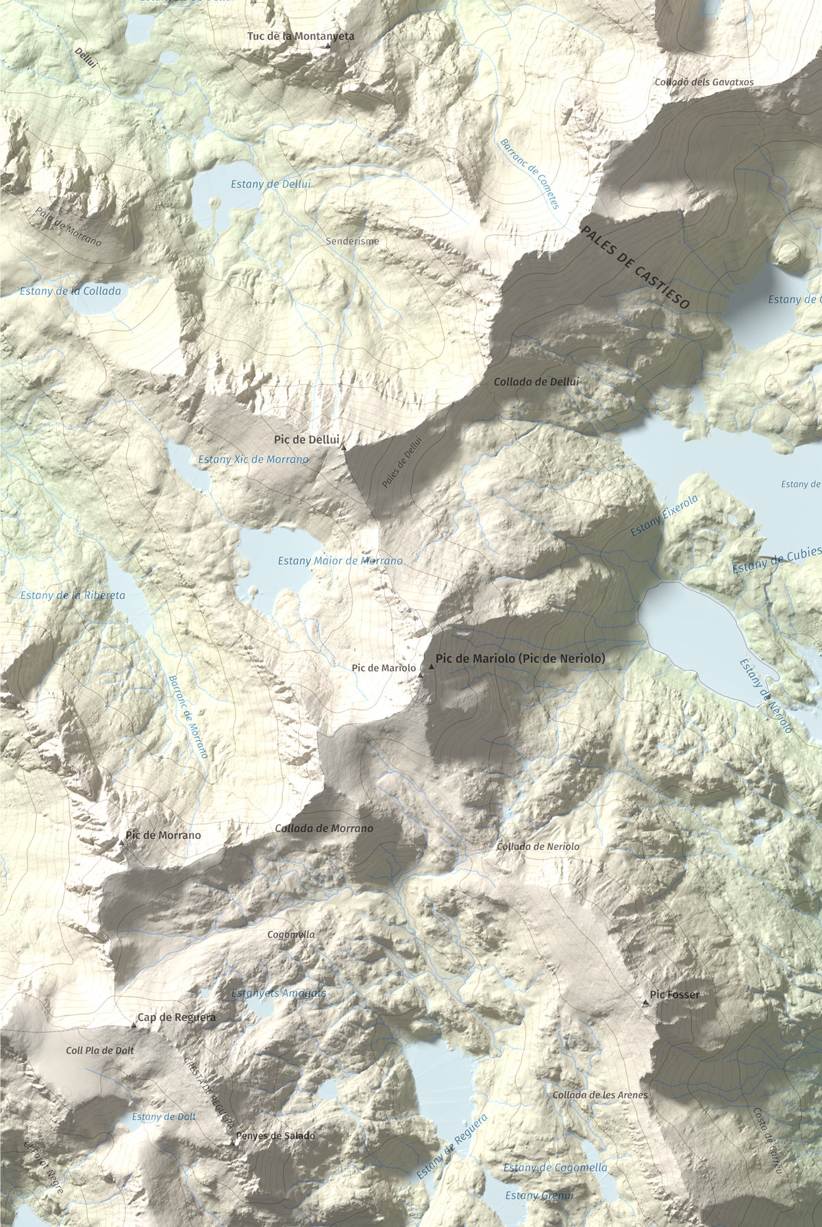 Mapa de relieve de Pic de Subenuix, 2950 m, Pallars Jussà · Pallars Sobirà, lámina 100 Cims de Trobart. Detalle de la zona inferior izquierda. 61 × 91 cm.