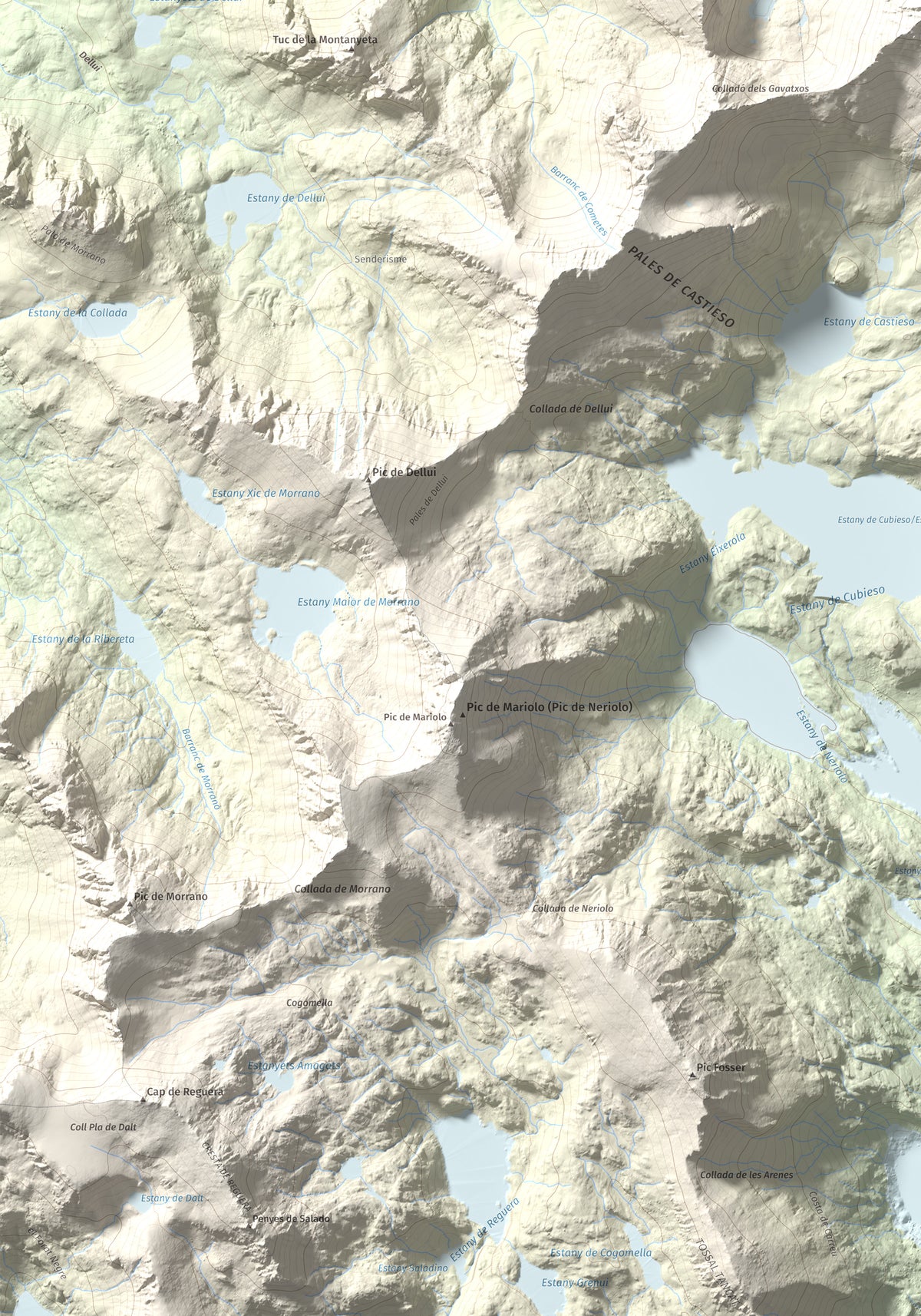 Mapa de relieve de Pic de Subenuix, 2950 m, Pallars Jussà · Pallars Sobirà, lámina 100 Cims de Trobart. Detalle de la zona inferior izquierda. 70 × 100 cm.
