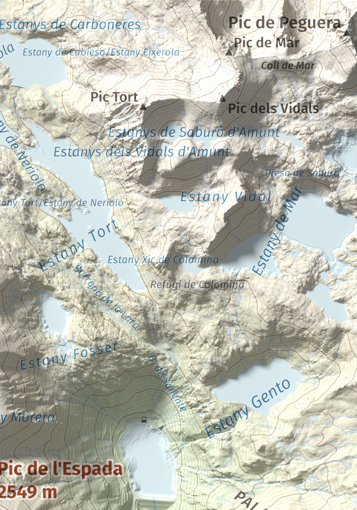 Mapa de relieve de Pic de l'Espada, 2549 m, Pallars Jussà, lámina 100 Cims de Trobart. Detalle de la zona superior derecha. 21 × 30 cm.