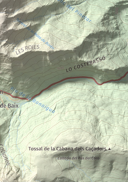 Mapa de relieve de Pic de la Plana, 2493 m, Pallars Sobirà, lámina 100 Cims de Trobart. Detalle de la zona inferior derecha. 21 × 30 cm.