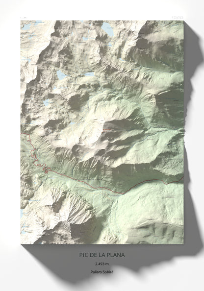Mapa de relieve de Pic de la Plana, 2493 m, Pallars Sobirà, lámina 100 Cims de Trobart 70 × 100 cm.