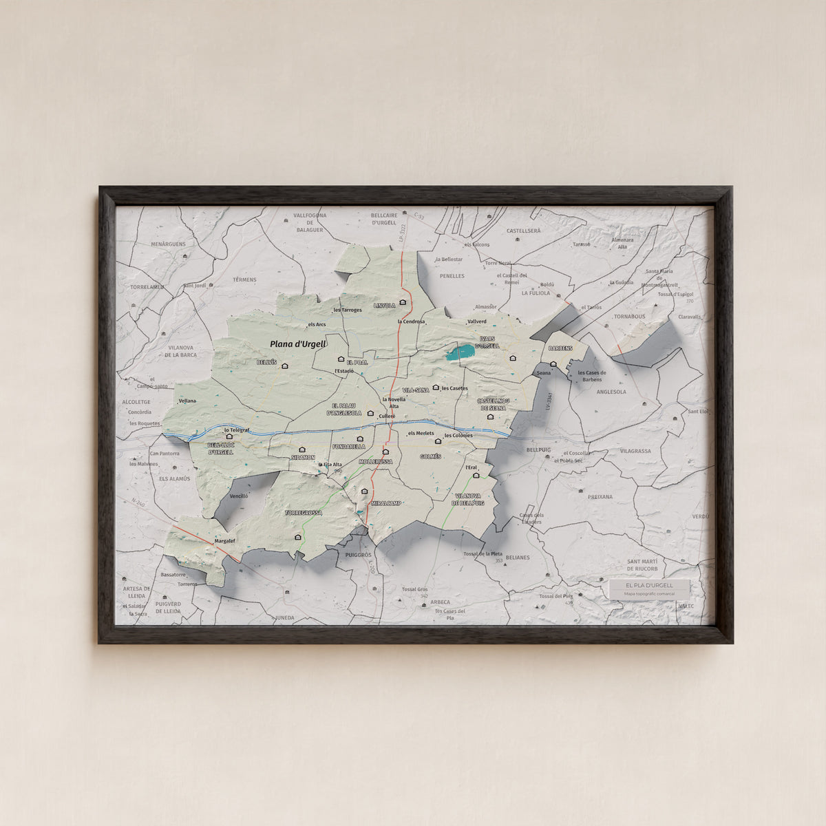 Mapa de relleu del Pla d’Urgell, amb el territori en color i l’entorn en blanc. Presentació amb marc. 21 × 30 cm. Estil Cartogràfic.