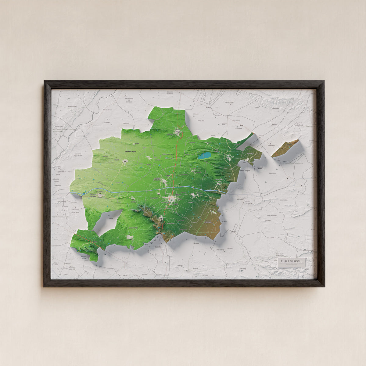 Mapa de relleu del Pla d’Urgell, amb el territori en color i l’entorn en blanc. Presentació amb marc. 50 × 70 cm. Estil Clàssic.