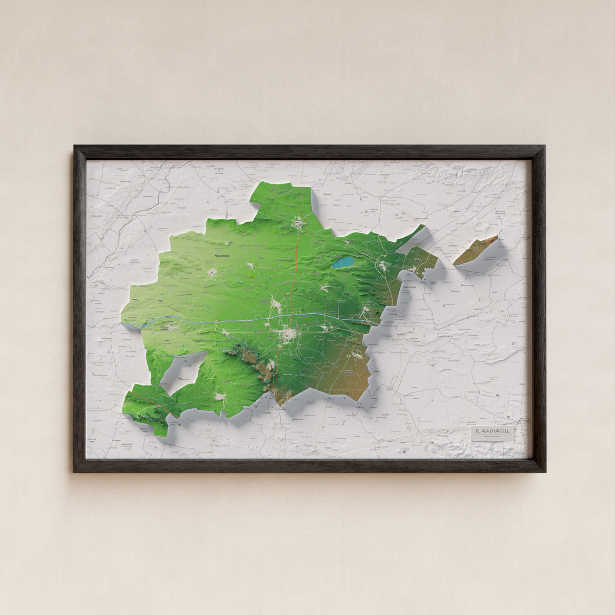 Mapa de relleu del Pla d’Urgell, amb el territori en color i l’entorn en blanc. Presentació amb marc. 61 × 91 cm. Estil Clàssic.