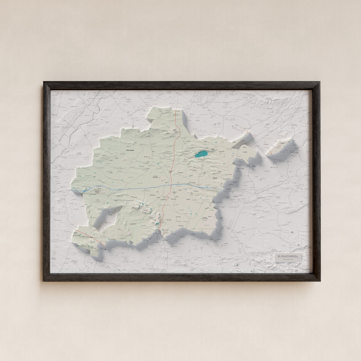 Mapa de relleu del Pla d’Urgell, amb el territori en color i l’entorn en blanc. Presentació amb marc. 70 × 100 cm. Estil Cartogràfic.