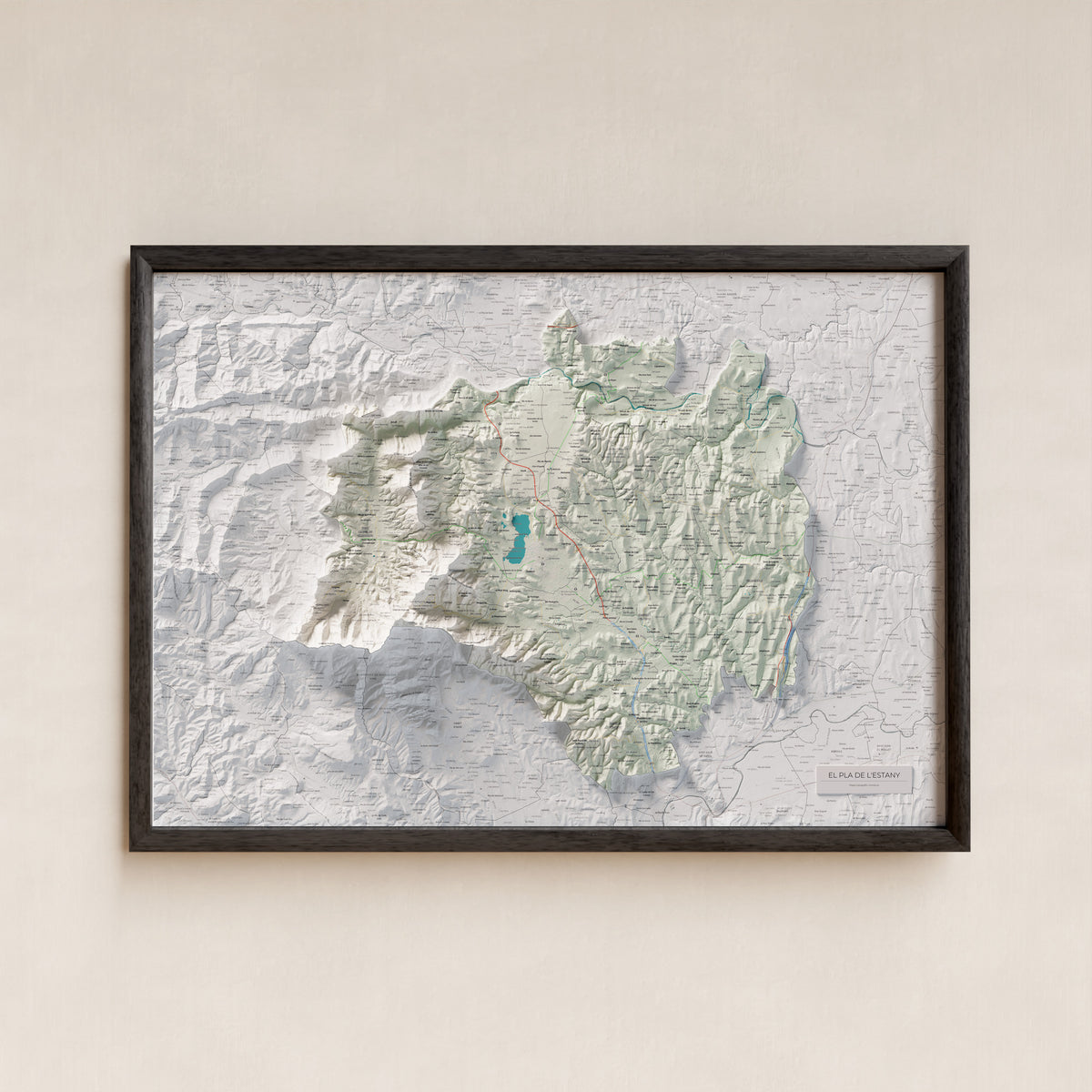 Mapa de relleu del Pla de l’Estany, amb el territori en color i l’entorn en blanc. Presentació amb marc. 70 × 100 cm. Estil Cartogràfic.