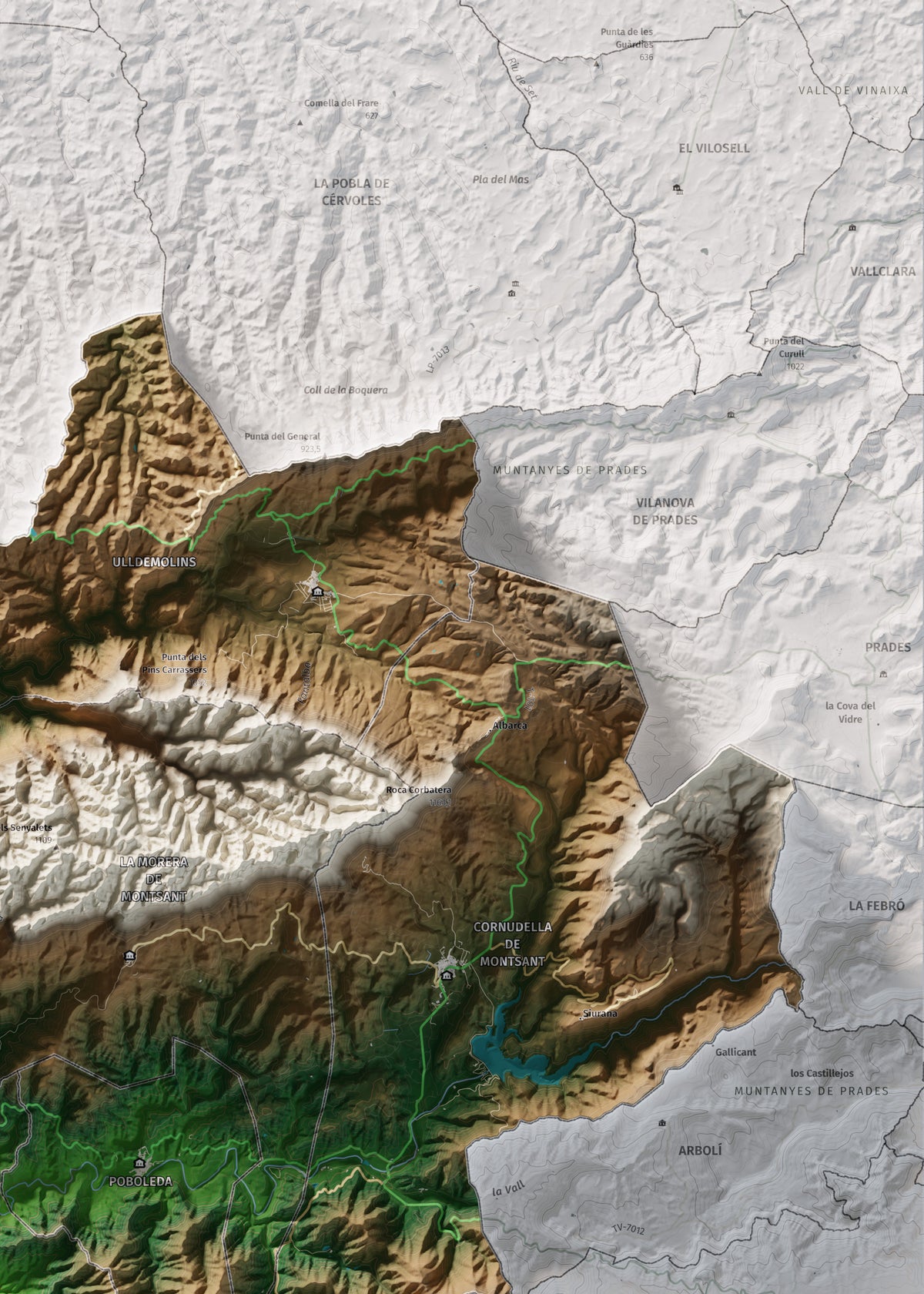 Mapa de relieve del Priorat, con el territorio en color y el entorno en blanco. Detalle de la zona superior derecha. 50 × 70 cm. Estilo Clásico.