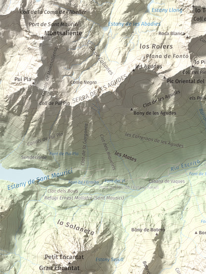 Mapa de relieve de Pui de Linya, 2870 m, Pallars Sobirà, lámina 100 Cims de Trobart. Detalle de la zona superior izquierda. 30 × 40 cm.
