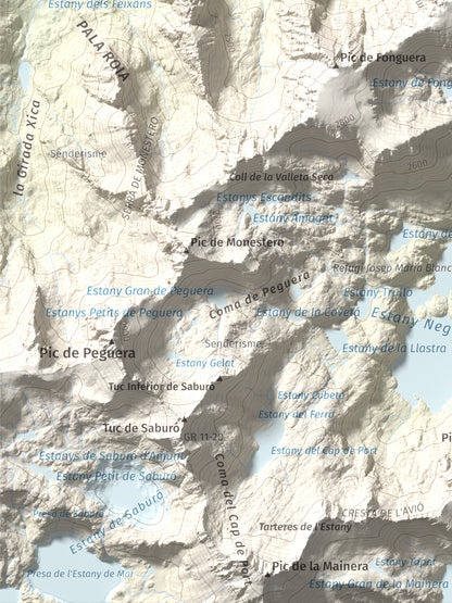 Mapa de relieve de Pui de Linya, 2870 m, Pallars Sobirà, lámina 100 Cims de Trobart. Detalle de la zona inferior izquierda. 30 × 40 cm.