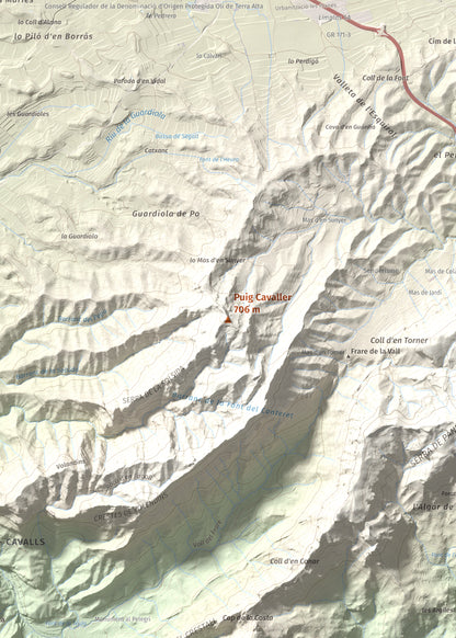 Mapa topográfico del relieve: Puig Cavaller, 706 m. Detalle de la zona central. 50 × 70 cm.