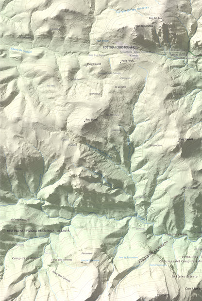 Mapa de relieve de Puig Falcó, 1097 m, Alt Empordà, lámina 100 Cims de Trobart. Detalle de la zona inferior izquierda. 61 × 91 cm.