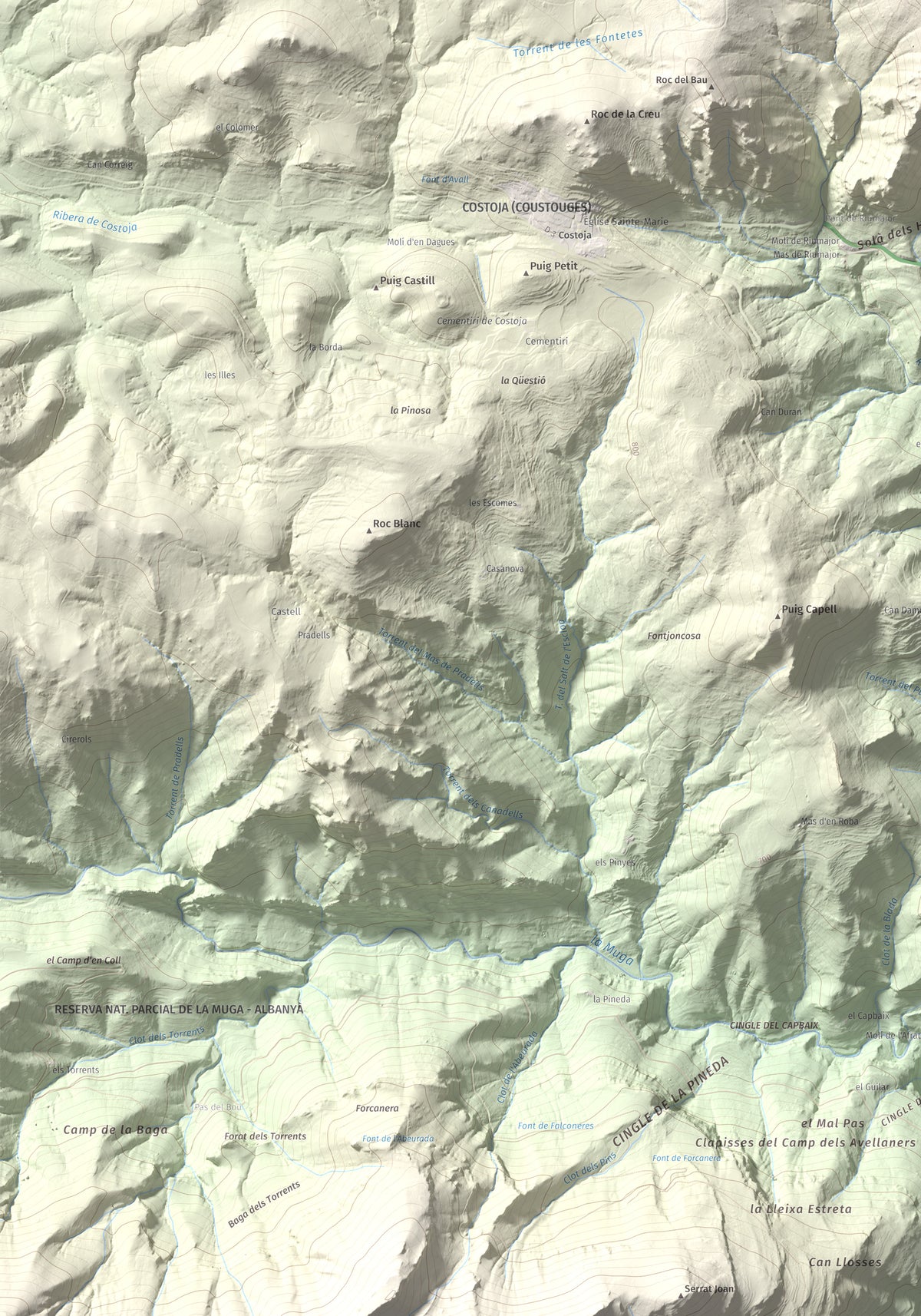 Mapa de relieve de Puig Falcó, 1097 m, Alt Empordà, lámina 100 Cims de Trobart. Detalle de la zona inferior izquierda. 70 × 100 cm.