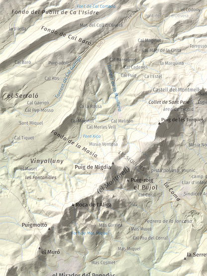 Mapa de relieve de Puig Francàs, 551 m, Baix Penedès, lámina 100 Cims de Trobart. Detalle de la zona superior izquierda. 30 × 40 cm.