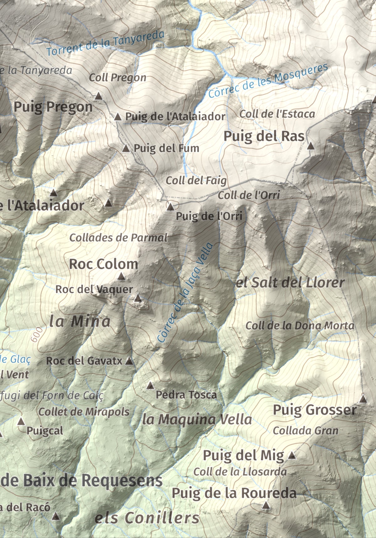Mapa de relieve de Puig Neulós, 1257 m, Alt Empordà · Rosselló, lámina 100 Cims de Trobart. Detalle de la zona inferior derecha. 21 × 30 cm.