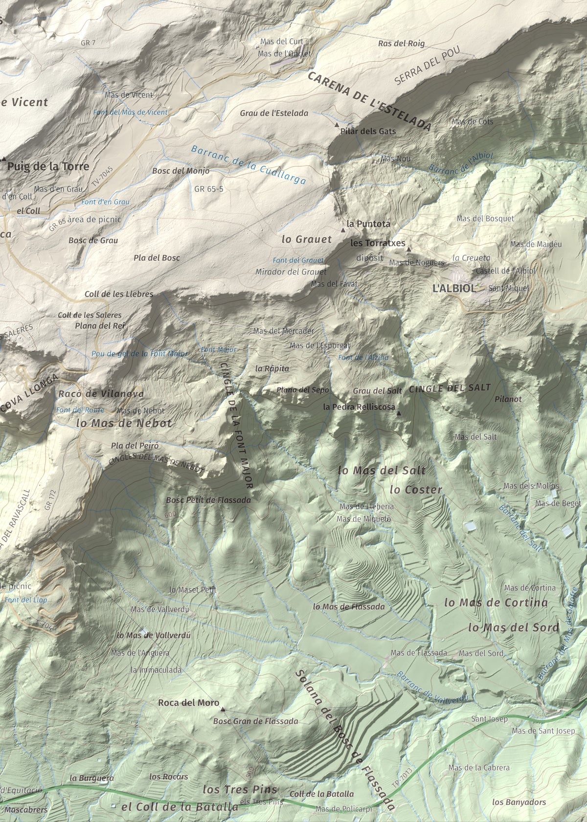 Mapa de relieve de Puig Pelat, 1076 m, Baix Camp, lámina 100 Cims de Trobart. Detalle de la zona inferior derecha. 50 × 70 cm.