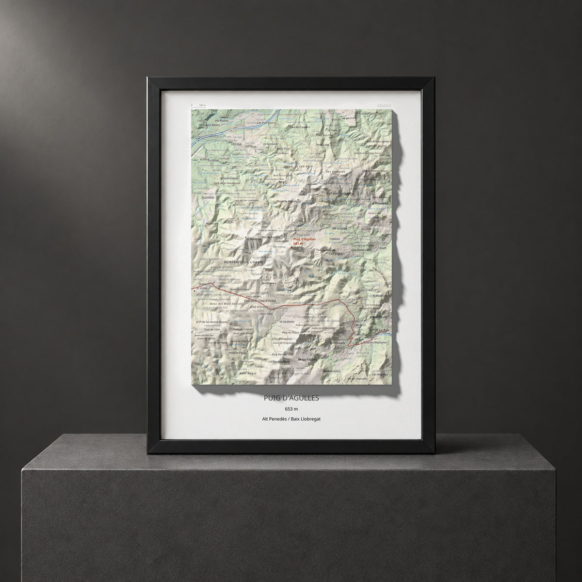Mapa topogràfic del relleu: Puig d'Agulles, 653 m. Presentació emmarcada. 30 × 40 cm.