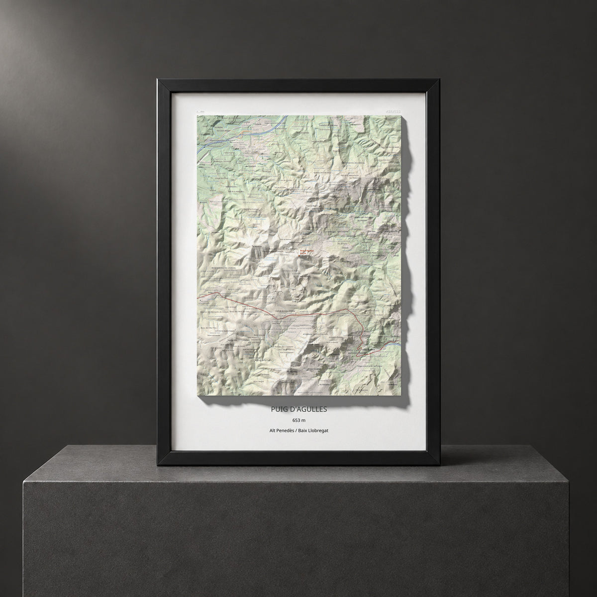 Mapa topogràfic del relleu: Puig d'Agulles, 653 m. Presentació emmarcada. 50 × 70 cm.