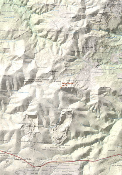 Mapa topogràfic del relleu: Puig d'Agulles, 653 m. Detall de la zona central. 70 × 100 cm.