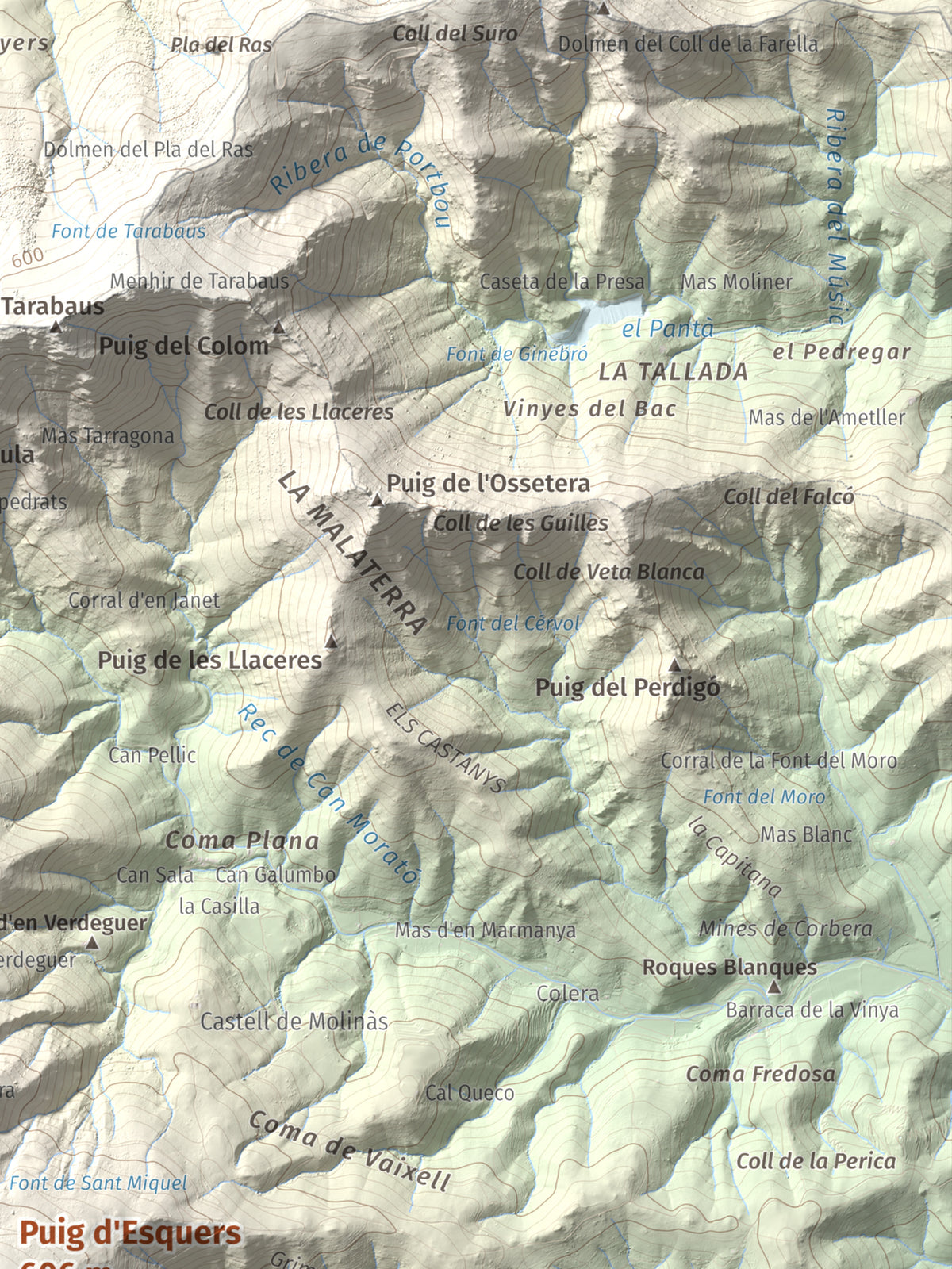 Mapa topográfico del relieve: Puig d'Esquers, 606 m. Detalle de la zona superior derecha. 30 × 40 cm.