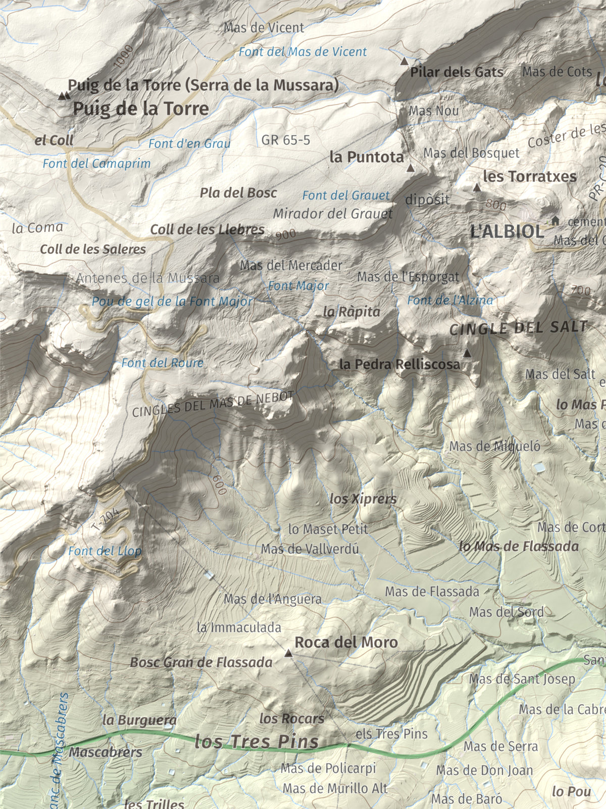 Mapa topográfico del relieve: Puig d'en Cama, 717 m. Detalle de la zona superior izquierda. 30 × 40 cm.