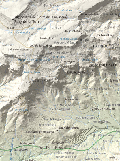 Mapa topográfico del relieve: Puig d'en Cama, 717 m. Detalle de la zona superior izquierda. 30 × 40 cm.