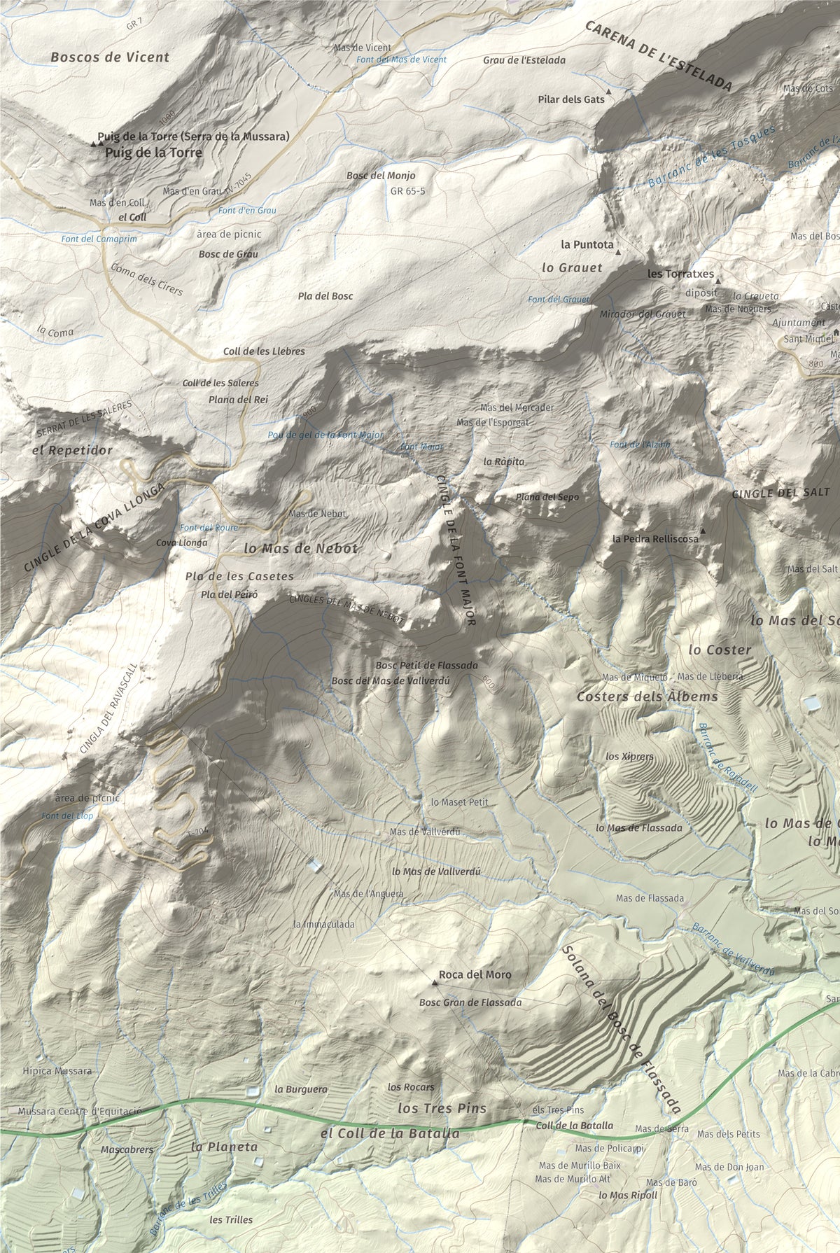 Mapa topográfico del relieve: Puig d'en Cama, 717 m. Detalle de la zona superior izquierda. 61 × 91 cm.