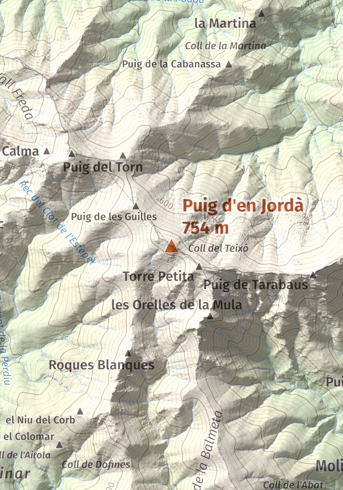 Mapa topogràfic del relleu: Puig d'en Jordà, 754 m. Detall de la zona central. 21 × 30 cm.