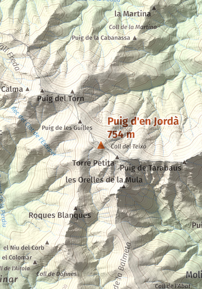 Mapa topogràfic del relleu: Puig d'en Jordà, 754 m. Detall de la zona central. 21 × 30 cm.
