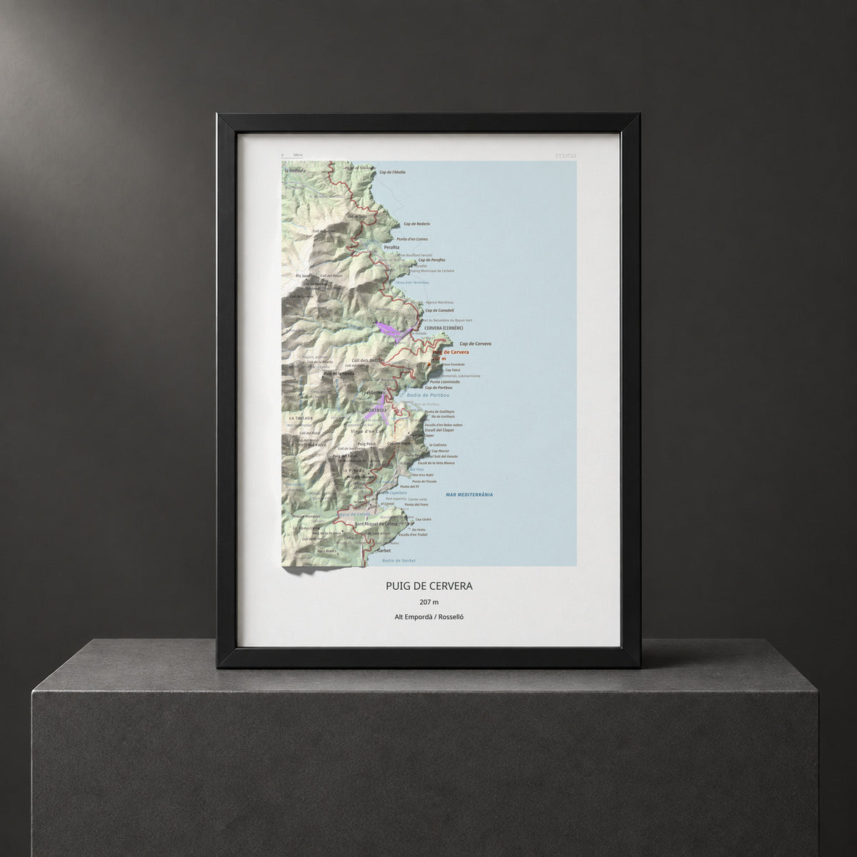 Mapa topográfico del relieve: Puig de Cervera, 207 m. Presentación enmarcada. 30 × 40 cm.